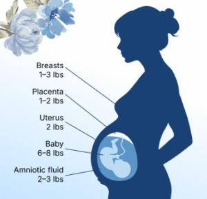Pregnancy weight gain promo graphic of pregnant woman body with baby in womb